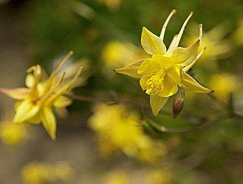 蒸汽平台「夏季特卖」来了！新品、经典、独游全放“价”